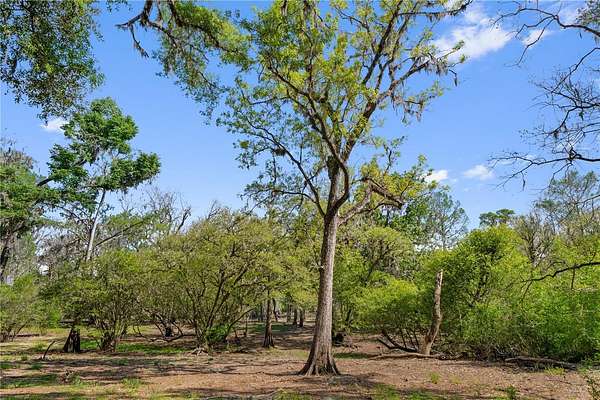 1.28 Acres of Residential Land for Sale in Cross City, Florida