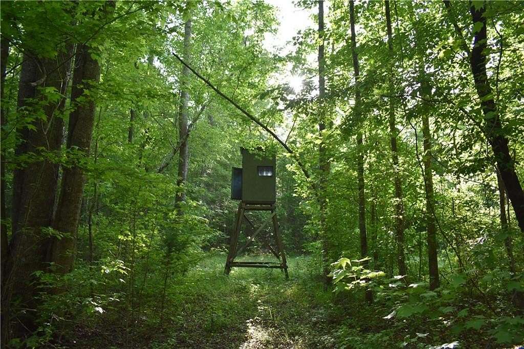 76 Acres of Recreational & Residential Land for Sale in Camp Hill, Alabama