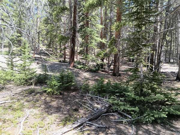 8 Acres of Land for Sale in Leadville, Colorado
