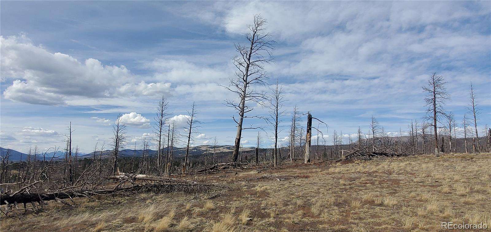 1.59 Acres of Residential Land for Sale in Fort Garland, Colorado