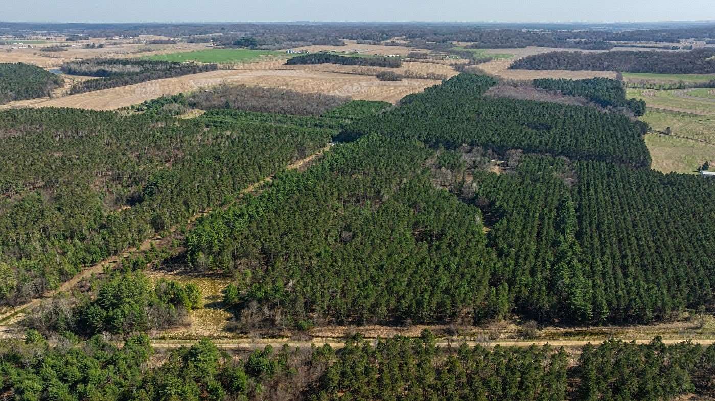 174 Acres of Recreational Land for Sale in Osseo, Wisconsin