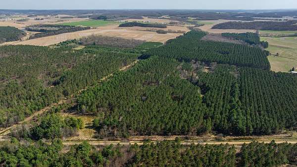 174 Acres of Recreational Land for Sale in Osseo, Wisconsin