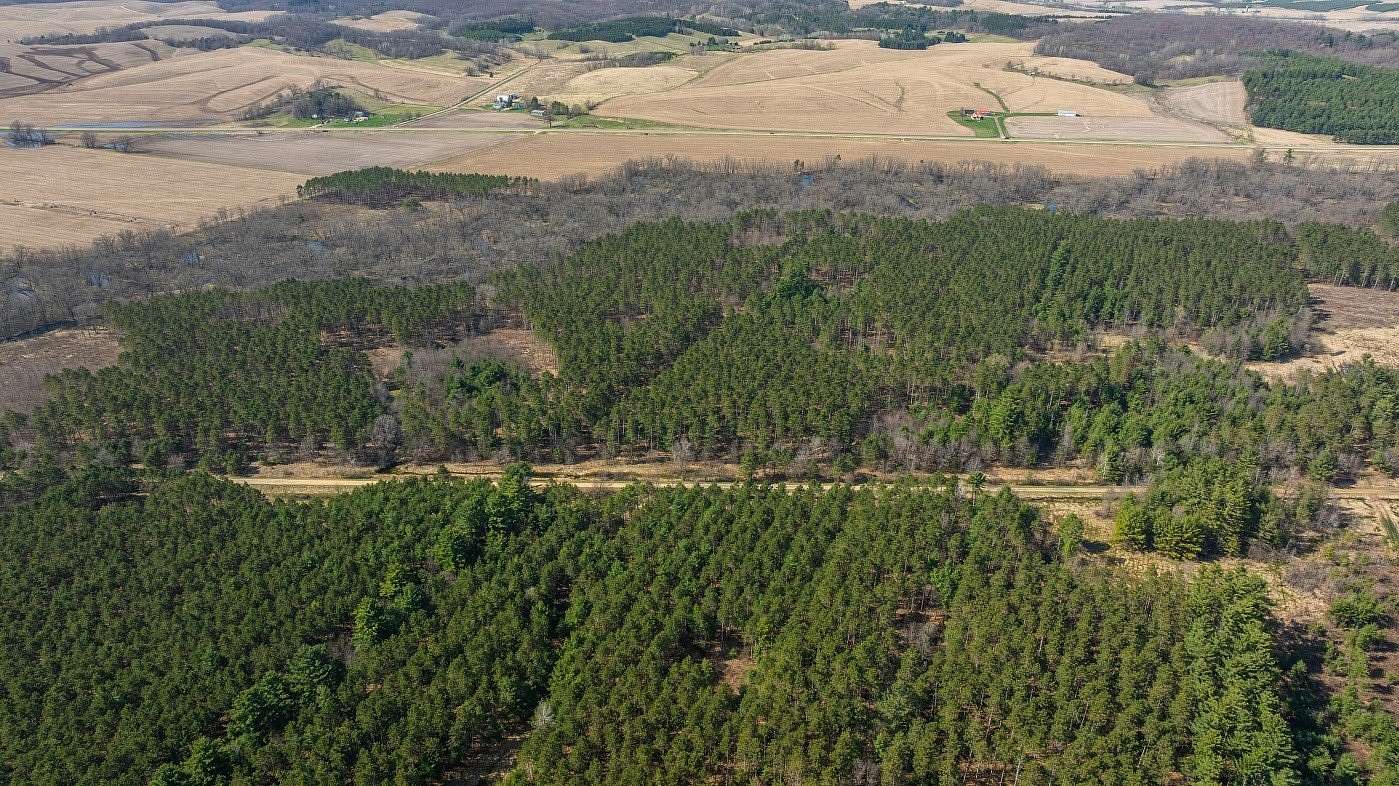 97.4 Acres of Recreational Land for Sale in Osseo, Wisconsin