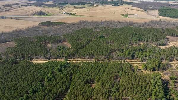 97.4 Acres of Recreational Land for Sale in Osseo, Wisconsin