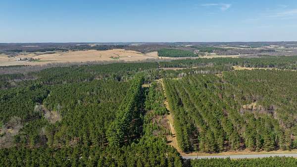 76.7 Acres of Recreational Land for Sale in Osseo, Wisconsin