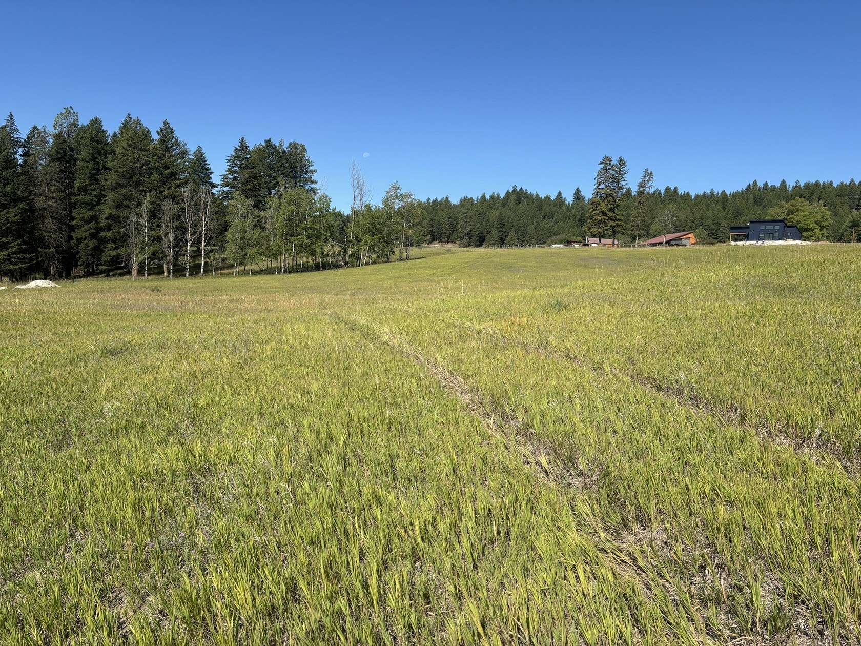 5.23 Acres of Residential Land for Sale in Kalispell, Montana
