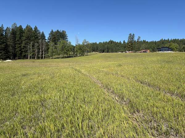 5.23 Acres of Residential Land for Sale in Kalispell, Montana