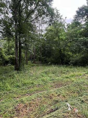 1.45 Acres of Residential Land for Sale in Jasper, Texas