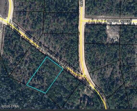 1 Acre of Residential Land for Sale in Alford, Florida