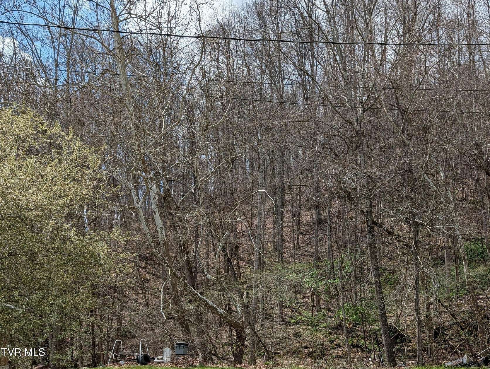 2.5 Acres of Land for Sale in Duffield, Virginia