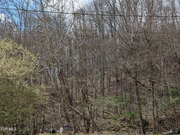 2.5 Acres of Land for Sale in Duffield, Virginia