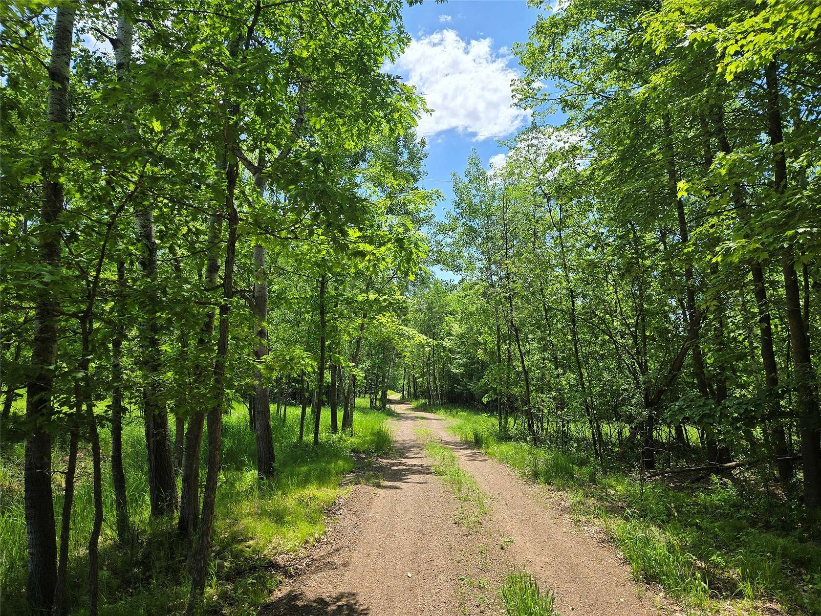 5.6 Acres of Residential Land for Sale in Clayton, Wisconsin