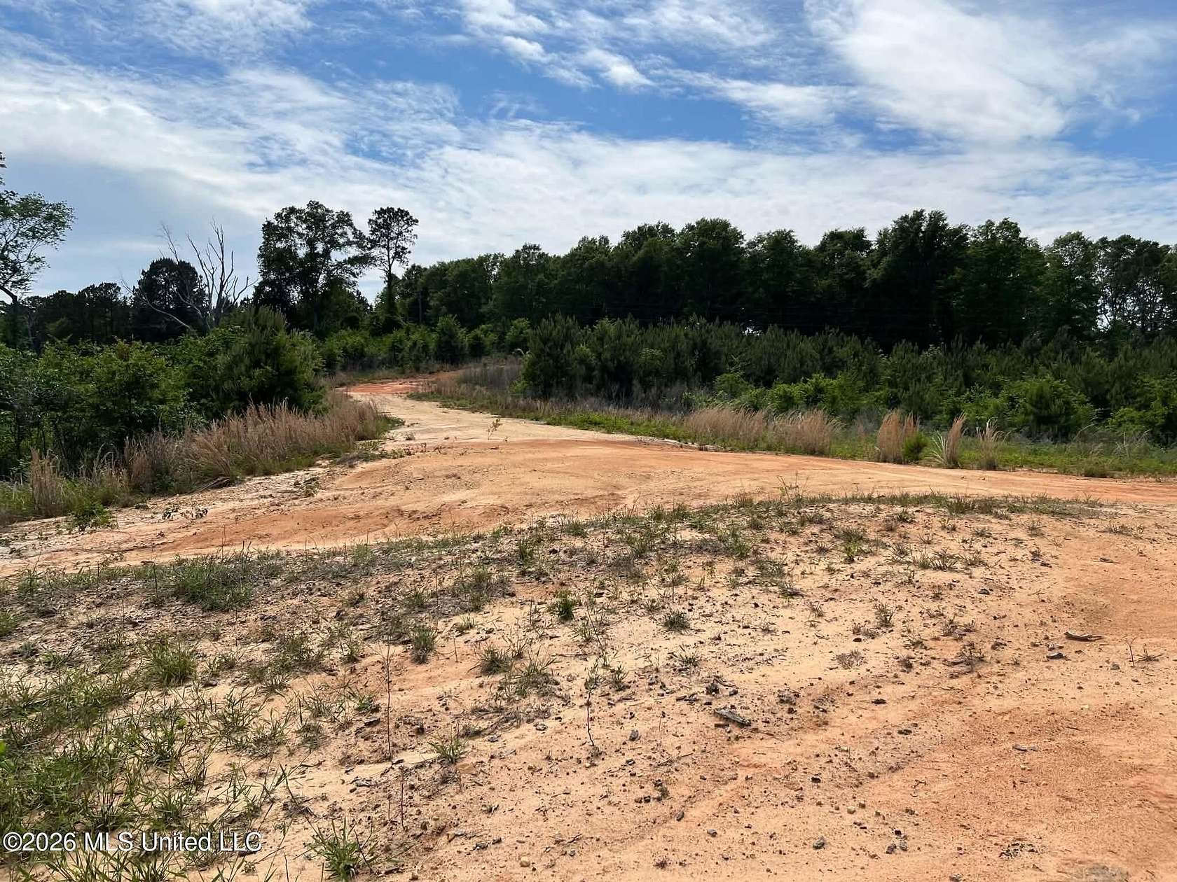 31 Acres of Land for Sale in Mendenhall, Mississippi