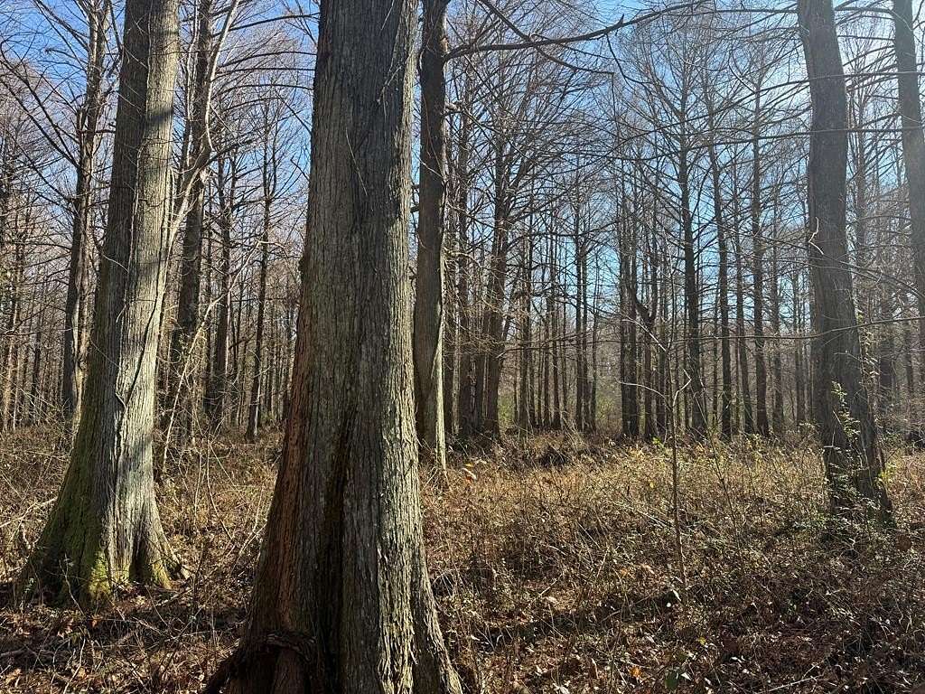 50 Acres of Recreational Land for Sale in Abbeville, Mississippi