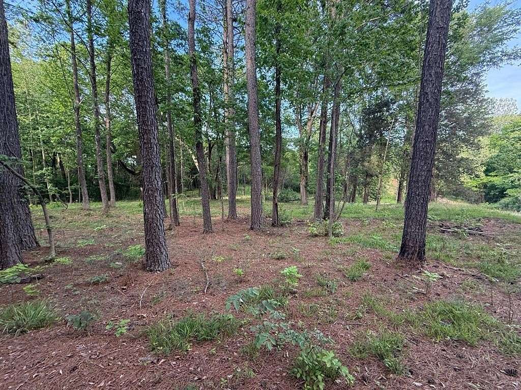 1.9 Acres of Residential Land for Sale in Big Sandy, Tennessee
