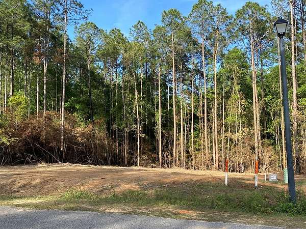 1.49 Acres of Residential Land for Sale in Carriere, Mississippi
