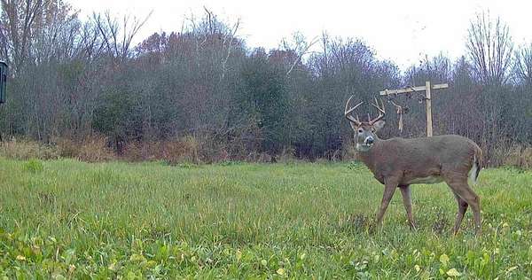 15.5 Acres of Recreational & Residential Land for Sale in Andover, Minnesota