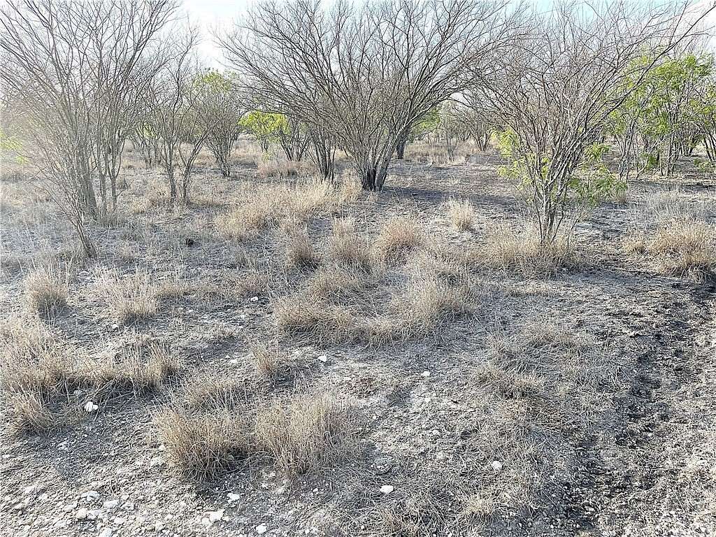 59.5 Acres of Land for Sale in Beeville, Texas