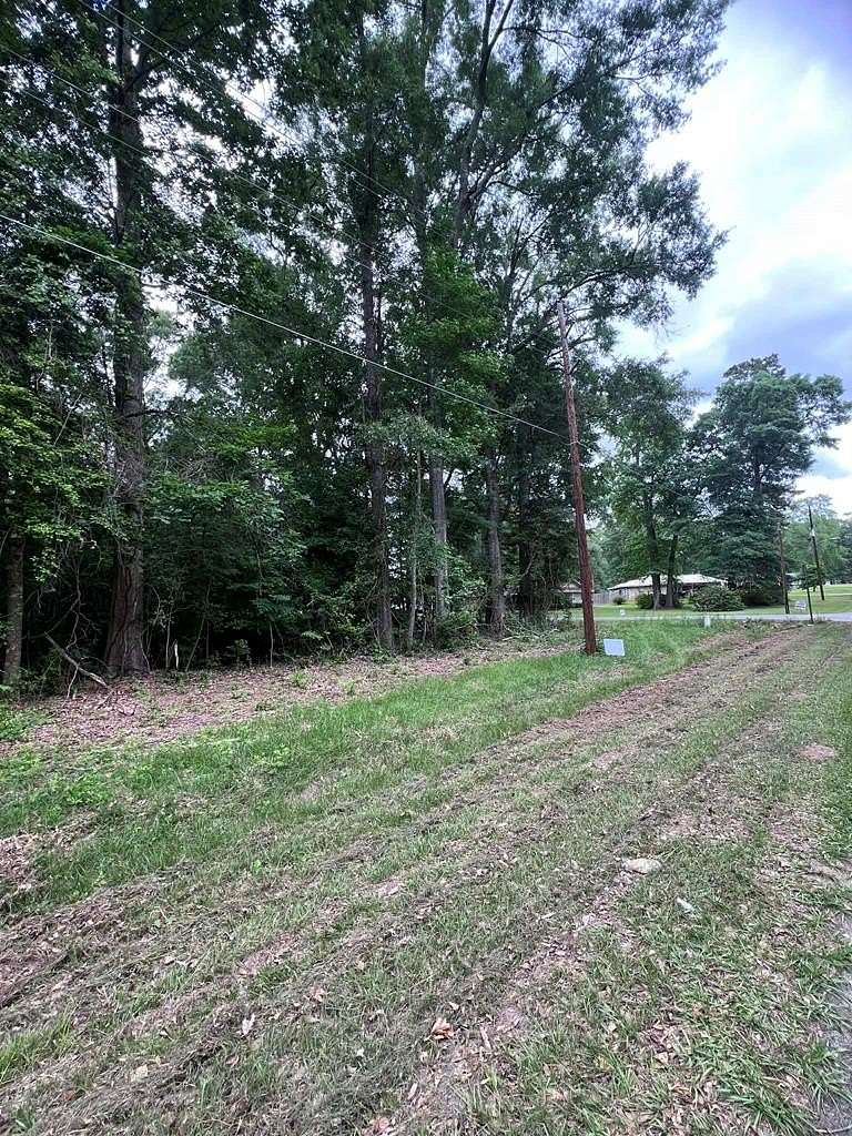 0.79 Acres of Residential Land for Sale in Jasper, Texas