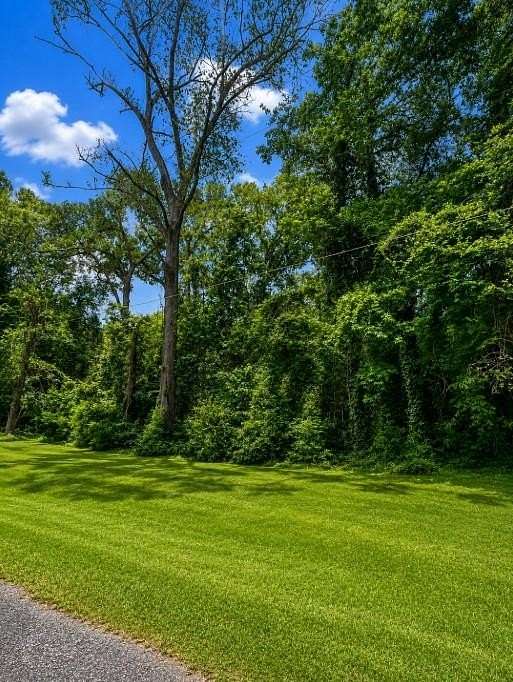 0.79 Acres of Residential Land for Sale in Jasper, Texas