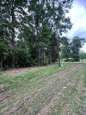 0.79 Acres of Residential Land for Sale in Jasper, Texas