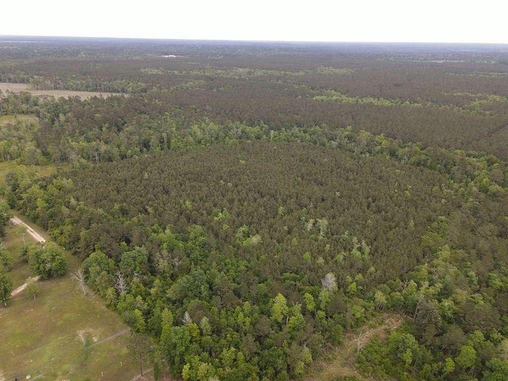 36 Acres of Recreational Land for Sale in Bon Wier, Texas