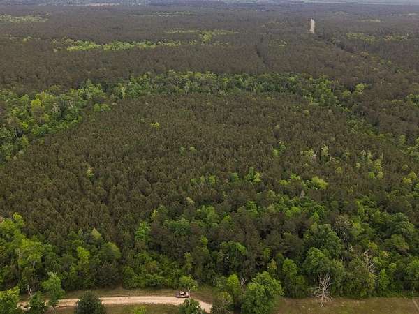 36 Acres of Recreational Land for Sale in Bon Wier, Texas