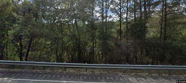 22 Acres of Recreational Land for Sale in Brilliant, Alabama