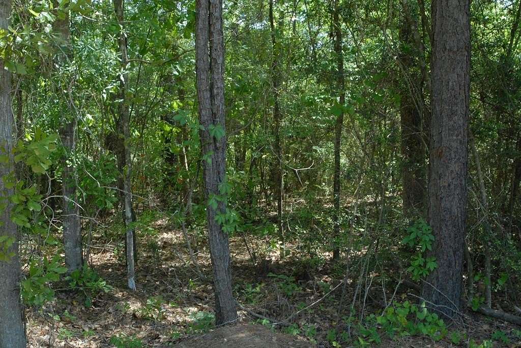 2.32 Acres of Land for Sale in Daleville, Alabama