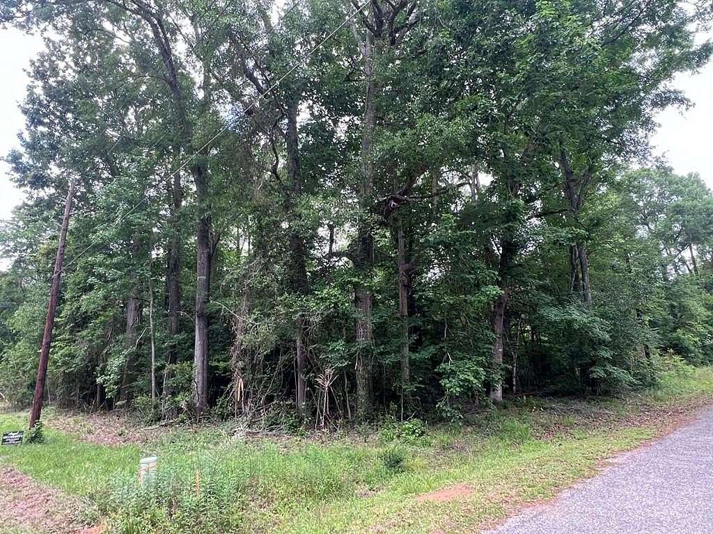 0.79 Acres of Residential Land for Sale in Jasper, Texas