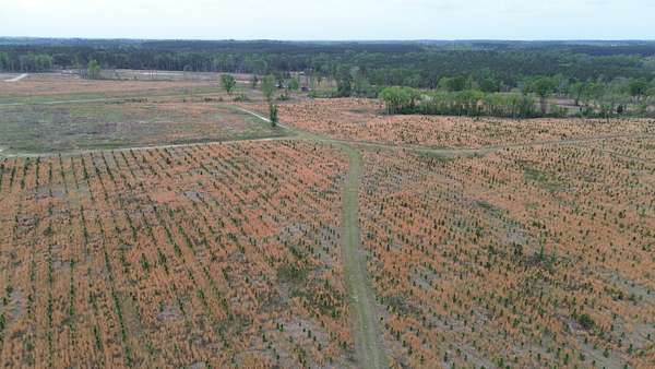 130 Acres of Land for Sale in Sylvania, Georgia