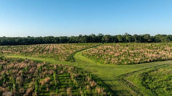 131 Acres of Land for Sale in Sylvania, Georgia