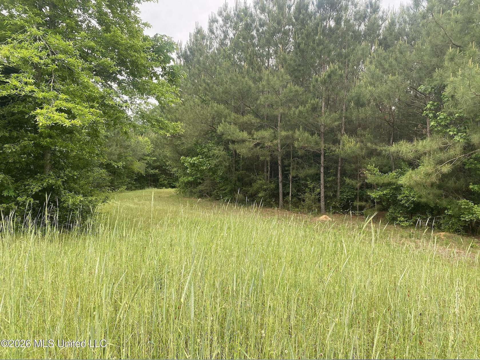 72 Acres of Recreational Land for Sale in Magnolia, Mississippi