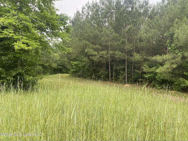 72 Acres of Recreational Land for Sale in Magnolia, Mississippi