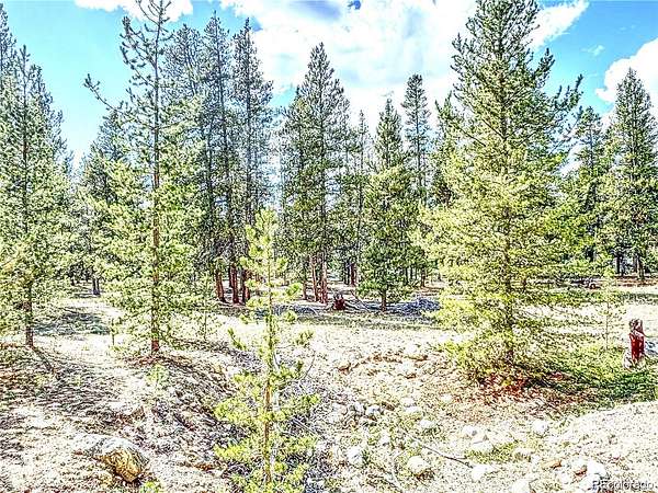 3.16 Acres of Residential Land for Sale in Alma, Colorado