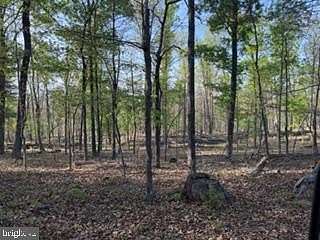 40.2 Acres of Recreational Land for Sale in Winchester, Virginia