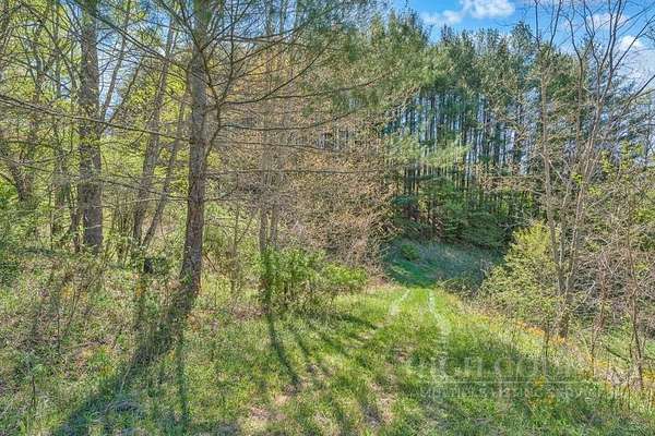 1.27 Acres of Residential Land for Sale in Creston, North Carolina