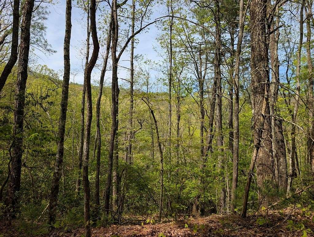 19.5 Acres of Recreational Land for Sale in Murphy, North Carolina