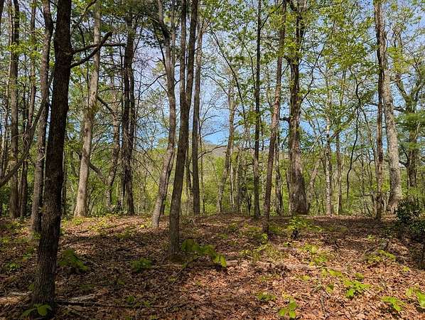 19.5 Acres of Recreational & Residential Land for Sale in Murphy, North Carolina