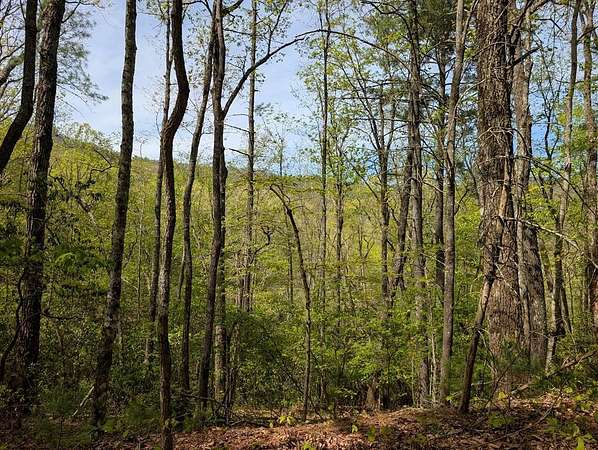19.5 Acres of Recreational Land for Sale in Murphy, North Carolina