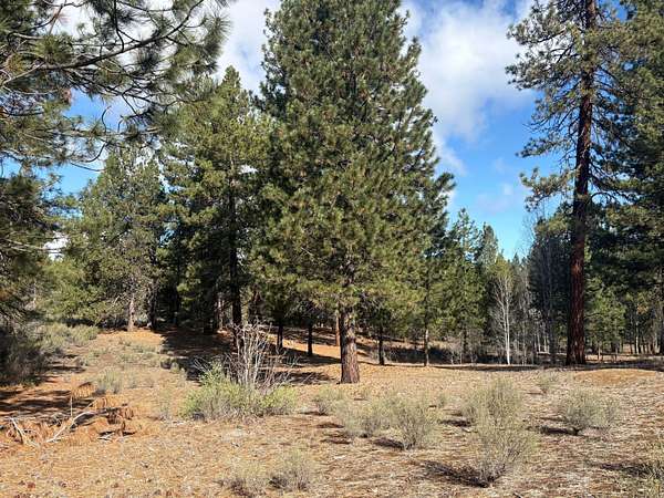 1.63 Acres of Residential Land for Sale in Chiloquin, Oregon