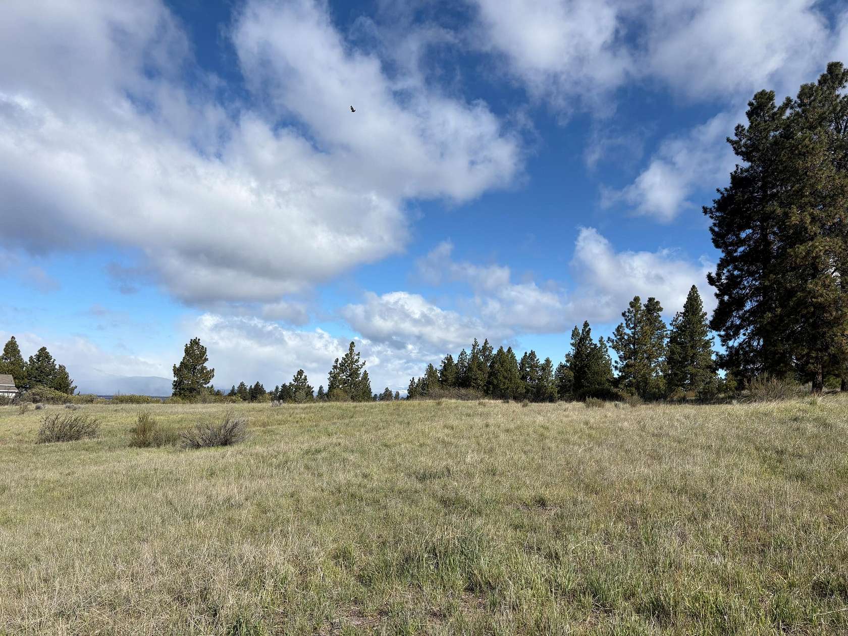 1 Acre of Residential Land for Sale in Chiloquin, Oregon