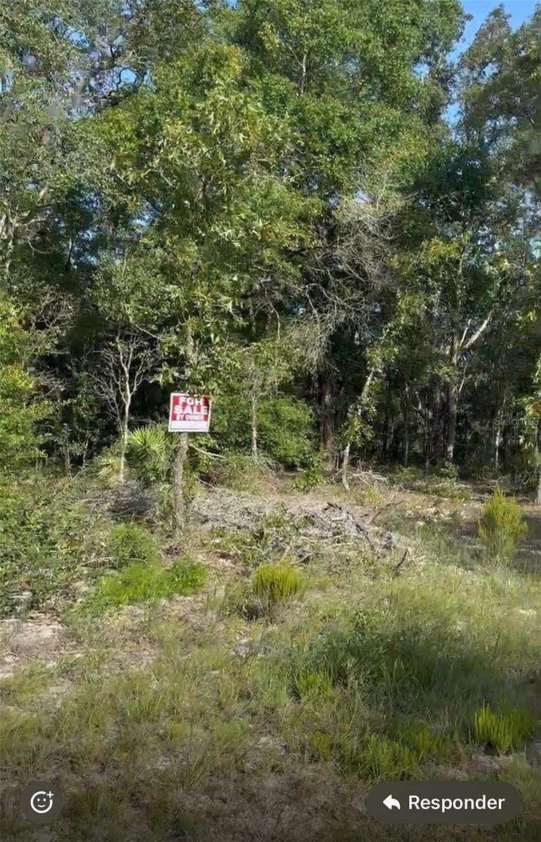 1.25 Acres of Residential Land for Sale in Bronson, Florida