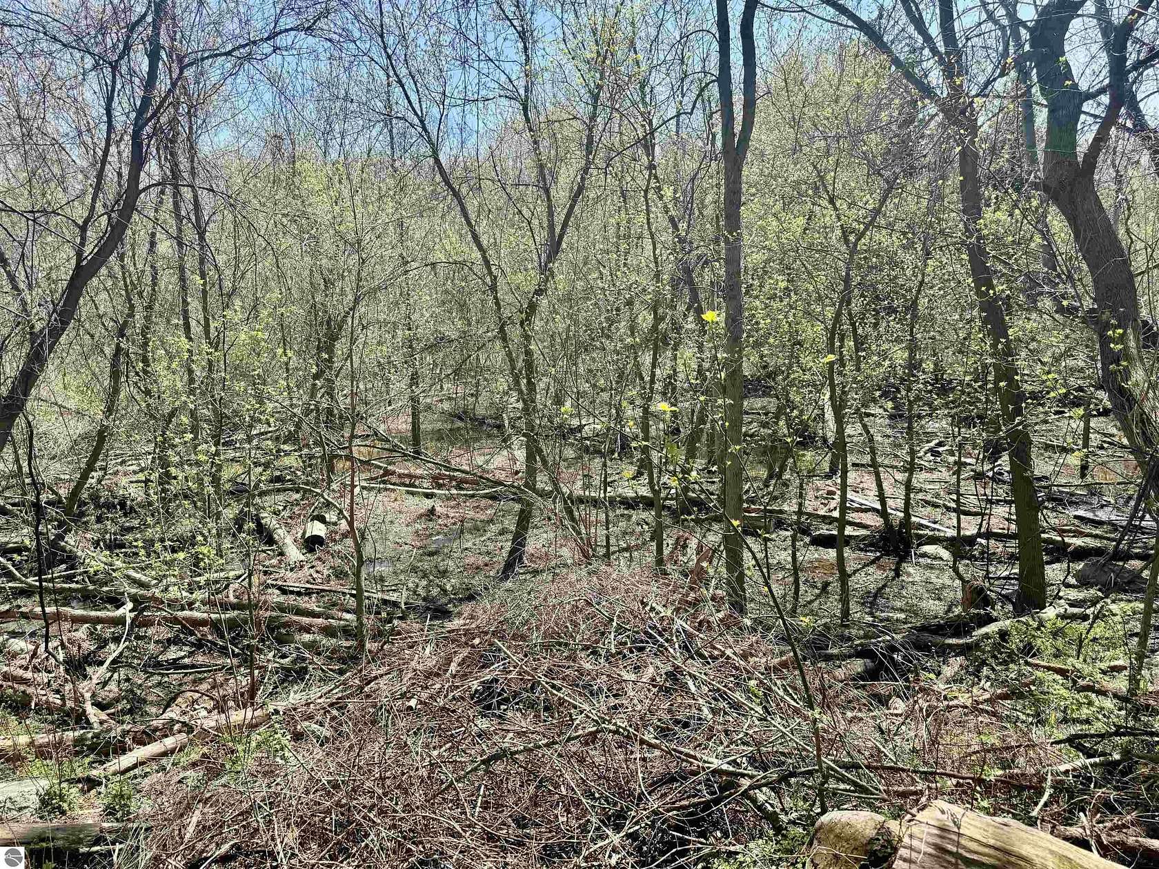 4 Acres of Residential Land for Auction in St. Louis, Michigan