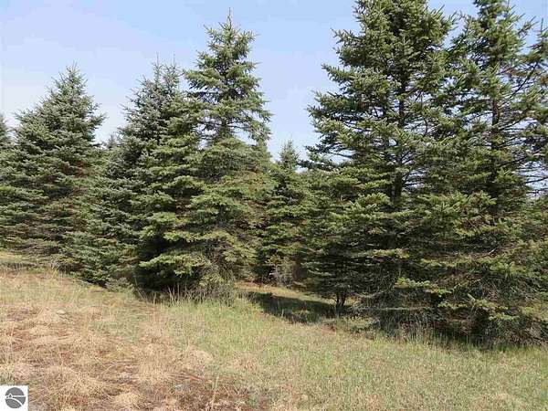 0.7 Acres of Land for Sale in Fife Lake, Michigan