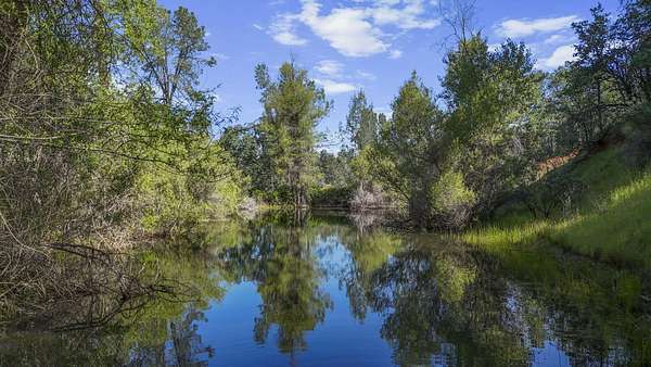 21.9 Acres of Land with Home for Sale in Anderson, California