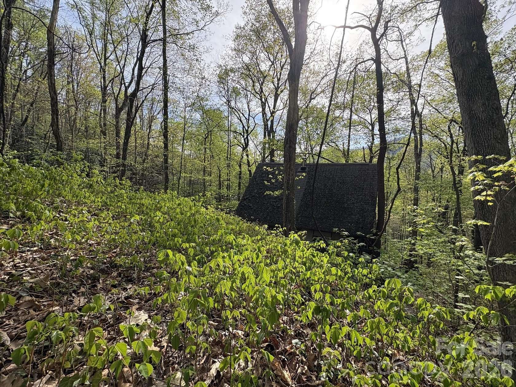 7 Acres of Land for Sale in Barnardsville, North Carolina