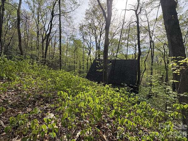 7 Acres of Land for Sale in Barnardsville, North Carolina