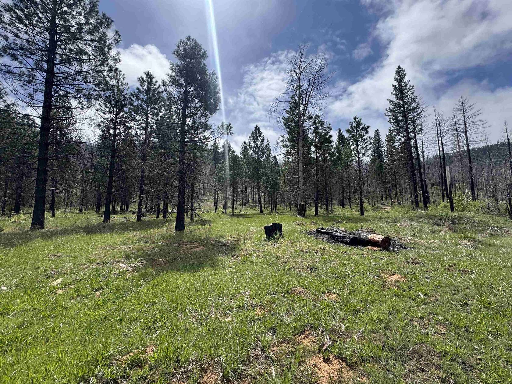 16.9 Acres of Land for Sale in Greenville, California