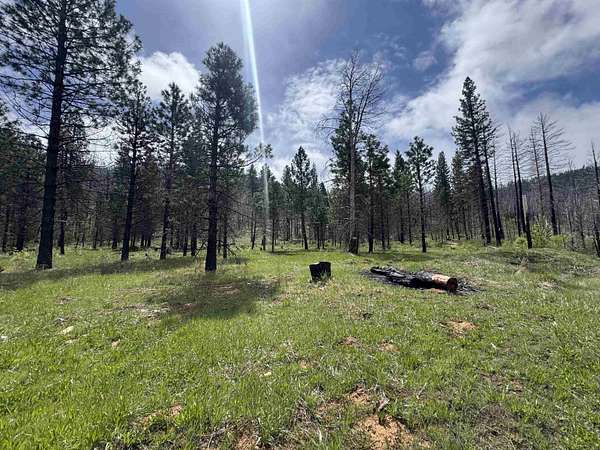 16.9 Acres of Land for Sale in Greenville, California